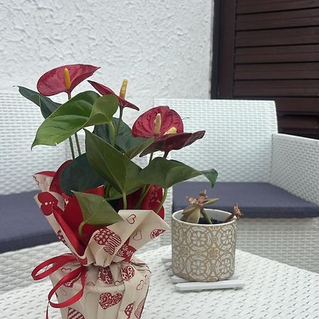 Appartamento Giardini Naxos Butterflies Home Schiso Екстериор снимка