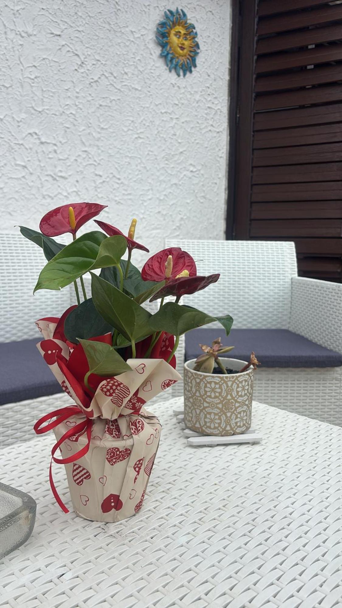 Appartamento Giardini Naxos Butterflies Home Schiso Екстериор снимка